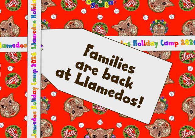 Hogsball wrapping paper with a Llamedos ribbon and a tag with the words Families are back at Llamedos