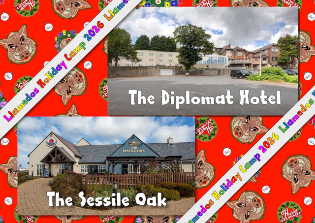 Wrapping paper with a Llamedos ribbon and photos of the Diplomat and Sessile Oak
